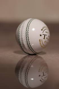 GEMSPORTS White T-20 Cricke Ball 2Piece Ball Cricket Leather Ball