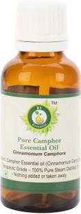 R V Essential Pure Camphor Essential Oil 10ml- Cinnamomum Camphora (100% Pure and Natural Steam Distilled)