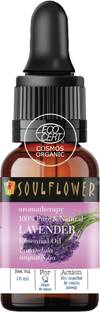 Soulflower Essential Oil Lavender (15 ml)| 100% Pure, Natural and Undiluted for Hair, Skin and Face