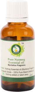 R V Essential Pure Nutmeg Essential Oil 30ml- Myristica Fragrans (100% Pure and Natural Steam Distilled)