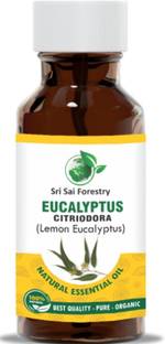SRI SAI FORESTRY Eucalyptus Citriodora Oil (Lemon Eucalyptus) for Dandruff, Mosquito Repellent