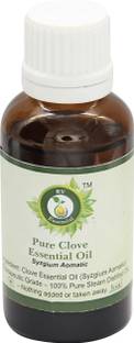 R V Essential Clove Essential Oil 30ml- Syzgium Aomatic (100% Pure and Natural Steam Distilled)