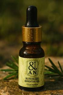AN Essentials Rosemary Essential Oil (15 ML) | 100% Pure & Natural | Steam-Distilled