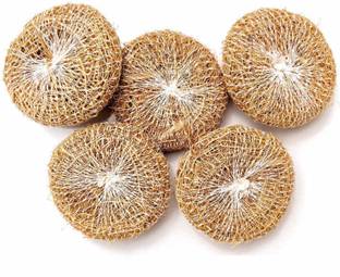 CACTUS VARIETIES Natural Vetiver (Ramacham/khus) Bath Scrubber - Reusable and Natural Vetiver Bath Scrubber BATH Body Scrubber