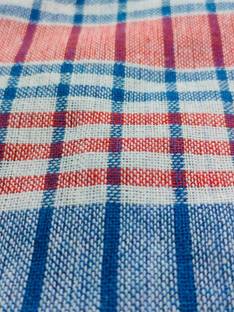 RAJ KUMAR SAHU Cotton 300 GSM Beach, Face, Hand Gamcha