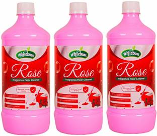 Whitebust Floor Cleaner phenyl Rose