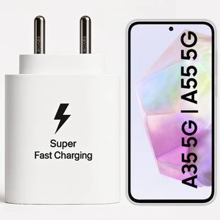 RoarX 25 W PPS 3 A Wall Charger for Mobile