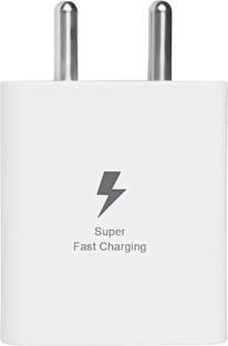 RoarX 25 W PPS 3.1 A Wall Charger for Mobile