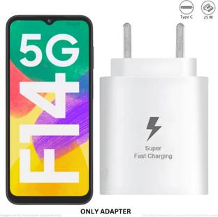 RoarX 25 W HyperCharge 3.1 A Wall Charger for Mobile