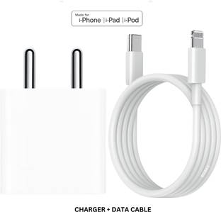 RoarX 20 W PPS 3.1 A Wall Charger for Mobile with Detachable Cable