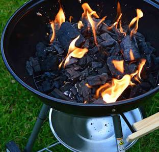 Prabhat Natural Barbeque Wood Chunks