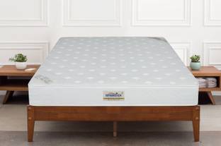 SPRINGTEK Ortho Pocket Spring Premium 6 inch Single Pocket Spring Mattress