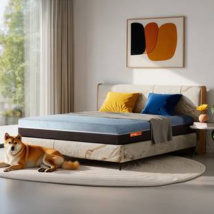 Sleepyhead Laxe - BodyIQ Orthopedic Memory Foam 6 inch Single Latex Foam Mattress