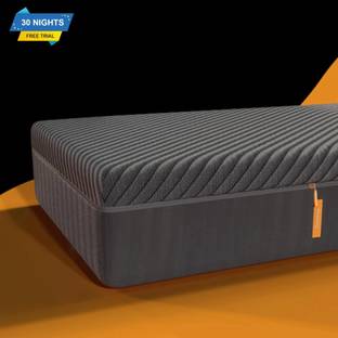 Emma Germany Black Orthopaedic Roll Pack 6 inch Queen High Resilience (HR) Foam Mattress
