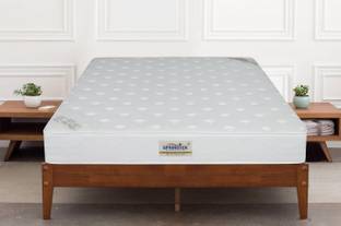 SPRINGTEK Ortho Pocket Spring Premium 6 inch Single Pocket Spring Mattress