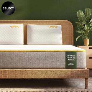 SleepyCat Ultima Natural Latex Mattress 8 inch Queen High Density (HD) Foam Mattress