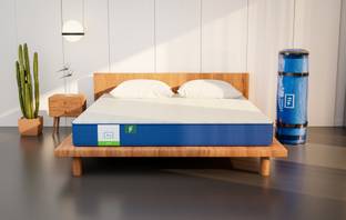 FLO Ortho 6 inch King PU Foam Mattress