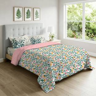 Urban Space Cotton Queen Sized Bedding Set