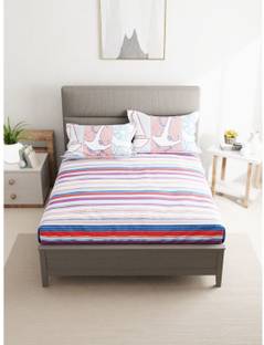 Bianca 144 TC Cotton Double Striped Flat Bedsheet