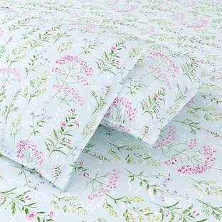 haus & kinder 186 TC Cotton Double Printed Flat Bedsheet