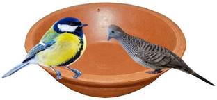 ClayWalaz Bird pot/Bird Feeding & Watering Supplies for Balcony or Garden \ Regular Bird Bath