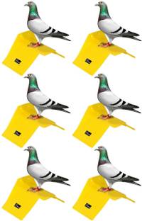 seok SEOK Pigeon Stand (Pack of 6) Caged Bird Feeder