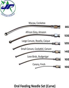JIYA AVIARY PRODUCTS Oral Feeding needles Set 8G to 18G shape curved for Birds, animals, pets Tube Bird Feeder