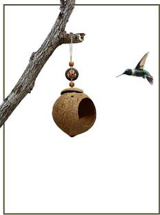 GlowKite coconut bird feeder hanger Common Bird Feeder