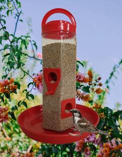 AWESTAR INCORPORATION Window Bird Feeder Bird Feeder
