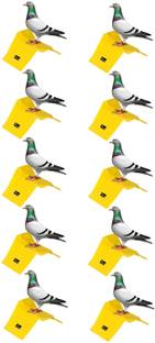 seok Pigeon Stand (Pack of 10) Premium Quality Caged Bird Feeder