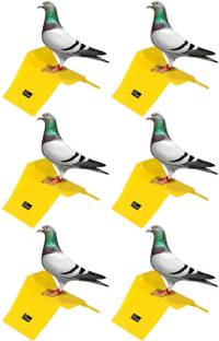 seok Pigeon Stand (Pack of 6) Caged Bird Feeder