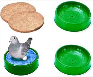 G P S Pigeon Egg Bowl + Nest Pad - Set of 3 Piece, Size: (24X6.5 cm) - Green Color Bird House