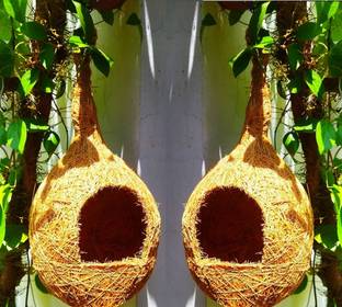 ZENRISE Arch house style Coir nest of 2 Bird House