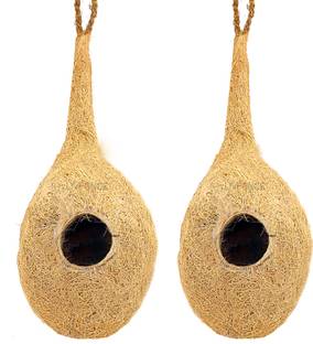 LIVEONCE Natural Bird NEST-pack of 2 Bird House