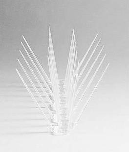 Yasheshwi store Bird Spike