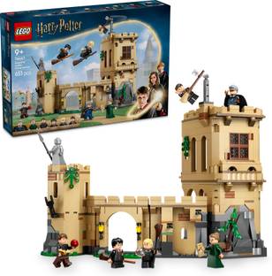 LEGO Harry Potter Hogwarts Castle: Flying Lessons Adventure Set 76447 (651 Blocks)