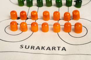 Enchantoys Surakarta cotton fabric board game Party & Fun Board Game