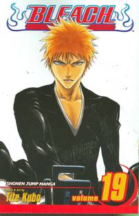 Bleach, Vol. 19