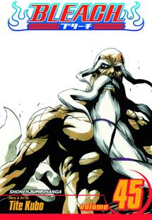 Bleach, Vol. 45: Volume 45