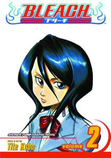 Bleach, Vol. 2: Volume 2