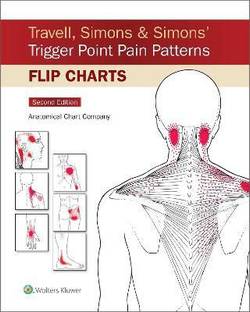 Travell, Simons & Simons' Trigger Point Pain Patterns Flip Charts