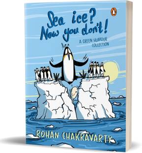 Sea Ice? Now You Don't !
