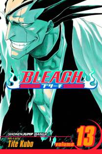 Bleach, Vol. 13