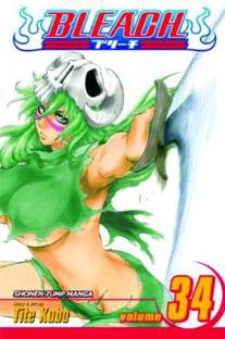 Bleach, Vol. 34: Volume 34
