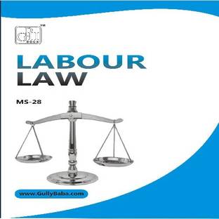 Ms-28 Labour Laws