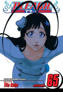 Bleach, Vol. 65