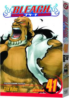 Bleach, Vol. 41