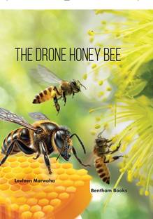The Drone Honey Bee