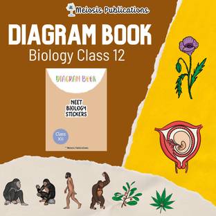 Diagram Book For Complete Biology Class 12  - Meiosis Publications | NEET 2025/2026