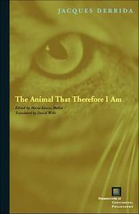 The Animal That Therefore I Am